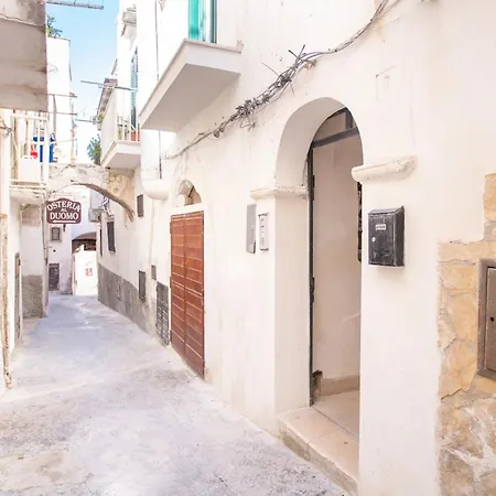 Da Lucia By Barbarhouse