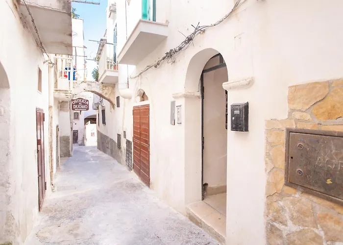 Da Lucia By Barbarhouse